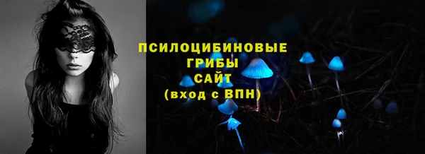 прущая мука Алексин